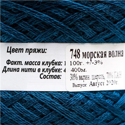 Пряжа "Слонимская полушерсть" 30% мерин.шерсть, 70% ПАН 400м/100гр (748 морская волна)