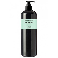 К-883205 Шампунь для волос, АЮРВЕДА Ayurvedic Scalp Solution Black Cumin Shampoo, 480 мл