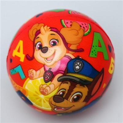 Мягкий мяч PAW PATROL "Алфавит" 6,3см, микс