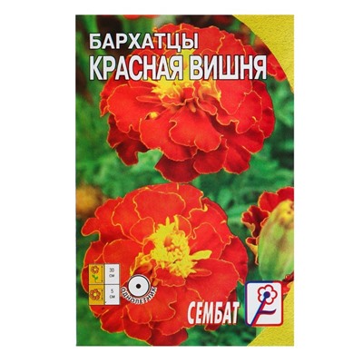 Семена цветов Бархатцы "Красная вишня", О, 0,2 г