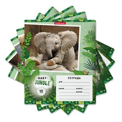 Тетрадь 12л. ErichKrause клетка "Baby Jungle" (48832) обложка - мелованный картон