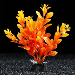 Растение искусственное аквариумное, 3 х 13 см, оранжевое, 1 шт.