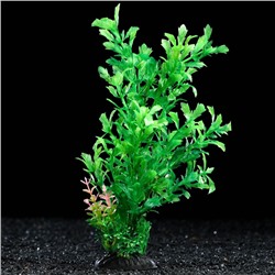 Растение искусственное аквариумное, 6 х 24 см, зелёное, 1 шт.