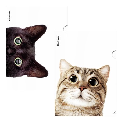Папка-уголок ErichKrause "HIding Cats" А4 0.16мм, с рисунком (61139)