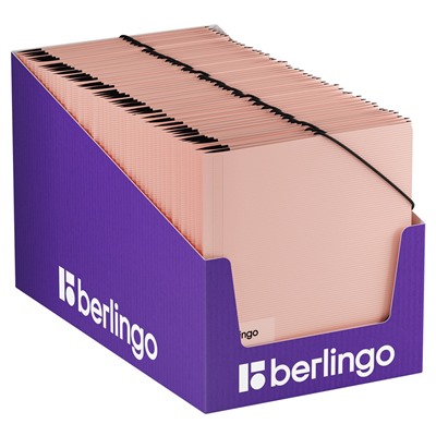 Папка на резинках BERLINGO "Instinct" фламинго (FB4_A5513) А5, 600мкм