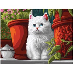 Картина по номерам на холсте "Пушистый котенок" 40*50см (КХ4050_53911) ТРИ СОВЫ, с акриловыми красками