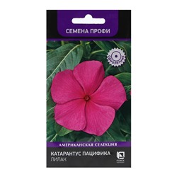 Семена цветов Катарантус Пацифика "Лилакт" 10 шт