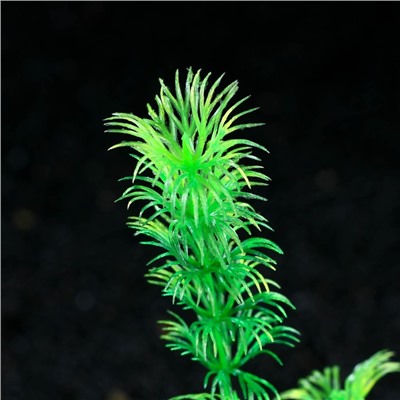 Растение искусственное аквариумное, 4 х 30 см, зелёное, 1 шт.