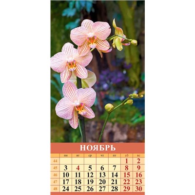 Календарь настен. перекид., с ригелем, 165*335мм, 2025г. "Мир цветов" (0625005)