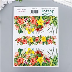 Набор стикеров "Botany exotic" 3 шт