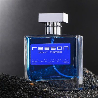 Туалетная вода мужская Reason pour homme, 100 мл