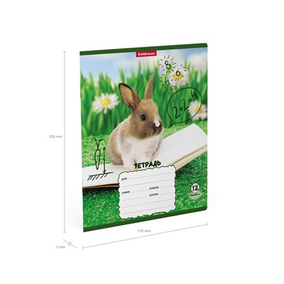 Тетрадь 12л. ErichKrause линия "Кролики" (58246) обложка - мелованный картон