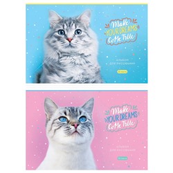 Альбом для рисования ArtSpace 32л. на скрепке "Питомцы. Funny cats" (А32_44470) обложка картон