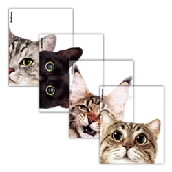 Набор обложек пластиковых  80мкм с рисунком "Hiding Cats" для тетрадей и дневников, 12шт. (61128) 212*347мм "ErichKrause"