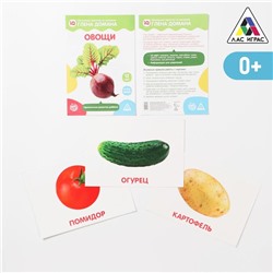 Обучающие карточки по методике Глена Домана «Овощи», 12 карт, А5
