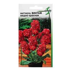 Семена цветов  Маттиола Винтаж, медно-красная, 15 шт