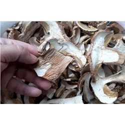 Белый гриб сушёный, 50 грамм