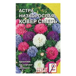 Семена цветов Астра "Ковер", низкорослая, смесь, 0,2 г