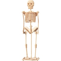 Сборная деревянная модель «Скелет человека»