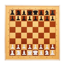 Демонстрационные шахматы и шашки магнитные, поле 70 х 70 см
