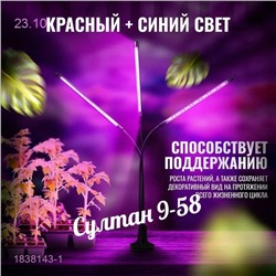 Фитолампа 1838143-1