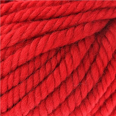 Пряжа "Pure wool plus" 100% шерсть 30м/100гр (1175)