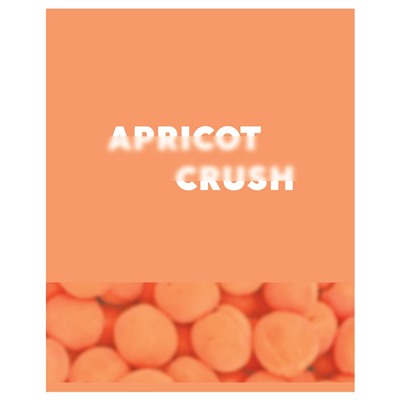 Тетрадь 48л. BG "Apricot" клетка (Т5ск48_лм 12721) мат. ламинация