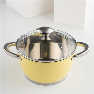 Набор посуды «Фрэш», 4 предмета: кастрюли 3,2/5,1 л, ковш 1,6 л, сковорода d=24 см, стеклянные крышки, цвет жёлтый