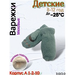 Детские варежки 1823947-8