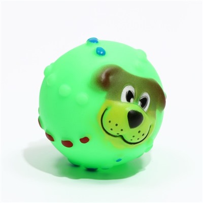 Игрушка пищащая "Мяч Джим"для собак, 6 см, зелёная