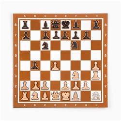 Демонстрационные шахматы "Время игры" на магнитной доске, 32 шт, поле 40 х 40 см, коричневые