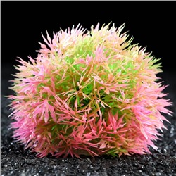 Растение - шар для аквариума, 13 см, розовое