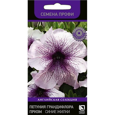 Петуния Синие Жилки F1 (Код: 73982)