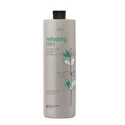 Dott Solari Тонизирующий шампунь с ментолом и перечной мятой / Refreshing Mint Professional Line, 1000 мл