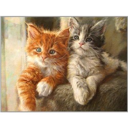 Алмазная мозаика «Котики-братики» 30×40 см, 35 цветов