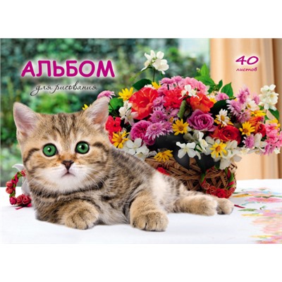 Альбом д/рис. Котята и цветы А4 40л (Артикул: 42594)
