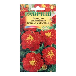 Семена цветов Бархатцы отклоненные (Тагетес) "Брокада красная", 0,3 г
