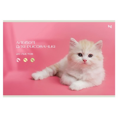 Альбом для рисования BG А4 20л. на скрепке "Собачка и котик" (АР4ск20 59521) обложка картон