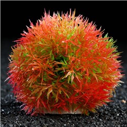 Растение - шар для аквариума, 13 см, красное