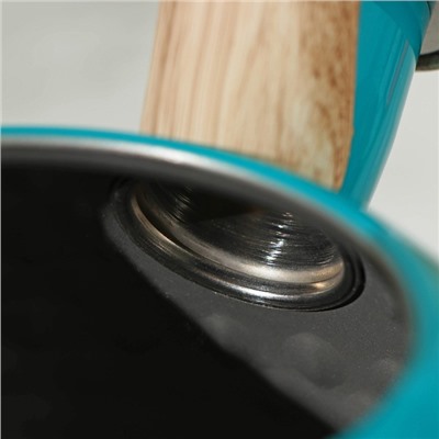 Чайник со свистком Mist, 3 л, 23×19×22 см, цвет зелёный