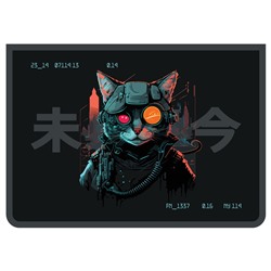 Папка для тетрадей А4, молния сверху ArtSpace "RoboCat" (ПМ-А4-291_58225) фольга