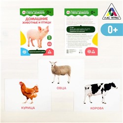 Обучающие карточки по методике Глена Домана «Домашние животные и птицы», 12 карт, А5