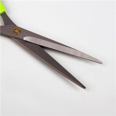 Ножницы парикмахерские с упором, лезвие — 7 см, цвет салатовый/серебристый