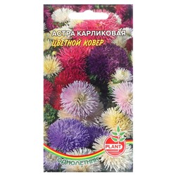Семена цветов Астра Карликовая "Цветной ковер", 0,1 г