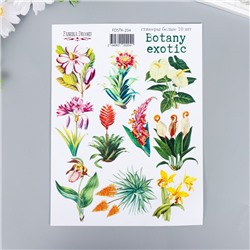 Набор стикеров "Botany exotic" 10 шт