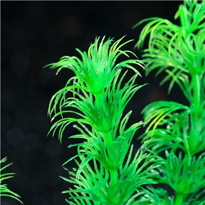 Растение искусственное аквариумное, 4 х 20 см, зелёное, 1 шт.