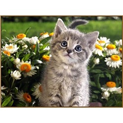 Алмазная мозаика «Послушный котёнок» 27 × 20 см, 32 цв. + наклейка