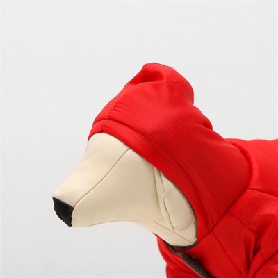 Комбинезон зимний для собак с капюшоном, XS (ДС 18-20 см, ОШ 24 см, ОГ 27-30 см)