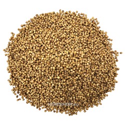 Кориандр в зернах (0,2 кг)