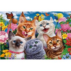 Картина по номерам на холсте "Веселое селфи котят" 30*40см (Х-8552)